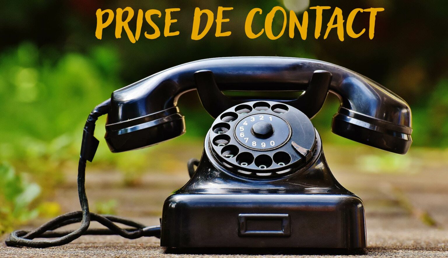 Comment prendre contact avec sa biographe privée pour faire écrire son histoire.