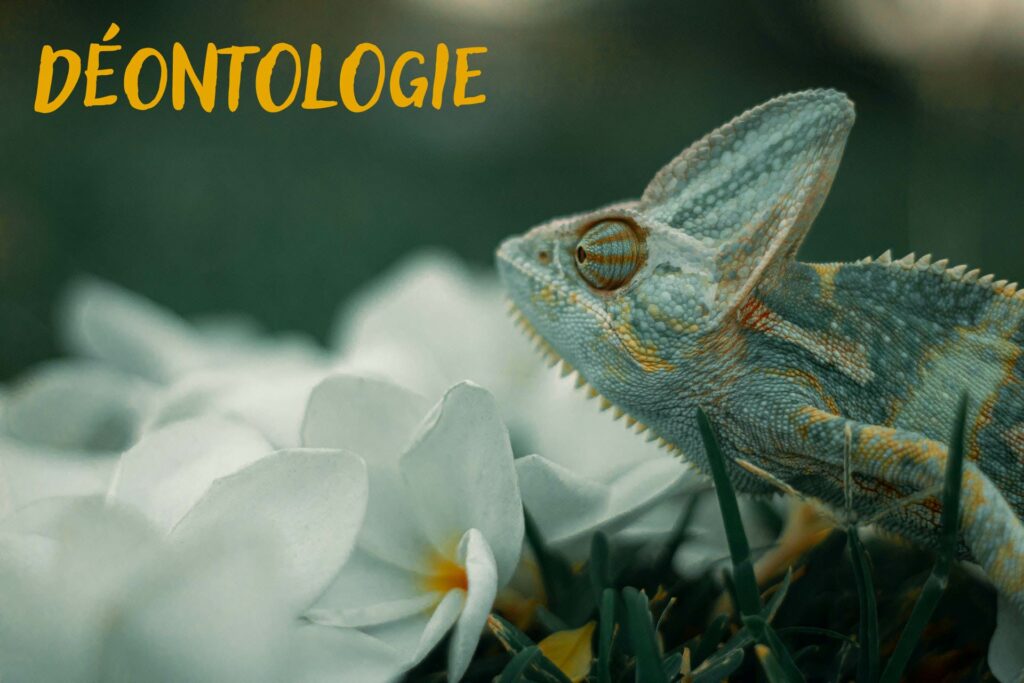 Le code de déontologie de Caméléon biographie : un ensemble de valeurs pour que celle ou celui qui lui confie l'histoire de sa vie puisse le faire en toute sérénité.